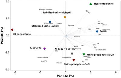 Exploring the potential of human urine derivatives in circular agriculture: a case study on lettuce